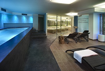 Residence a Predazzo - Wellness - ID foto 177
