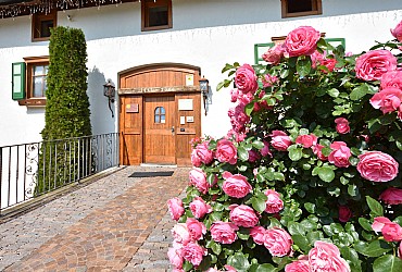 Apartmanu - Cavalese - Vrt - Photo ID 209
