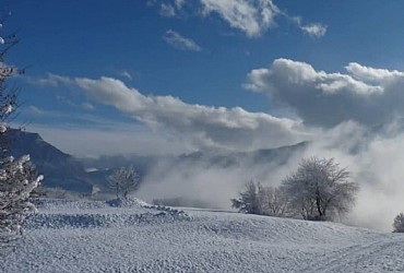 Appartamento a Castello di Fiemme - Panorama - ID foto 262