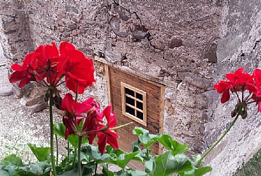 Maso via Pencati - 