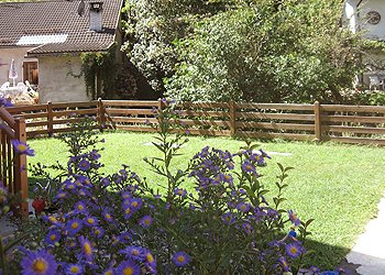 Wohnung - Cavalese - Garten - Photo ID 64