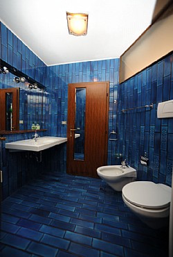 Appartamento a Predazzo. <p>bagno con doccia