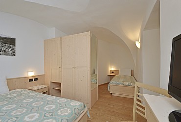 Apartment in Masi di Cavalese - Type 1 - Photo ID 384
