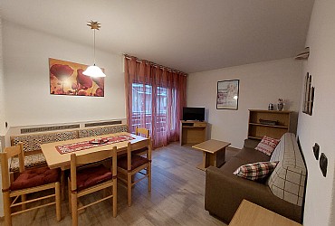 Apartment in Predazzo - Type 1 - Photo ID 713