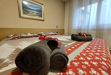 Piso - Predazzo - Tipo 1 - Photo ID 715