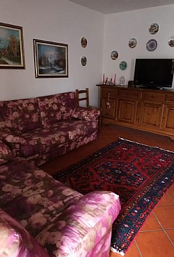 Appartamento a Predazzo - Tipologia 1 - ID foto 902