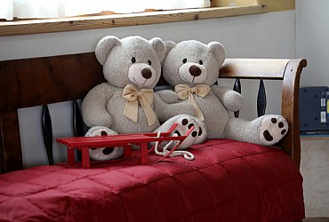 Apartment in Predazzo - Type 1 - Photo ID 933