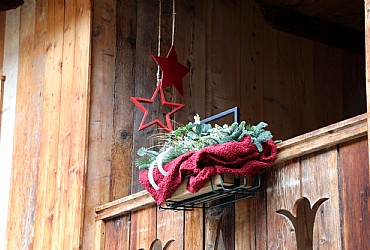 Apartment in Predazzo - Type 1 - Photo ID 934